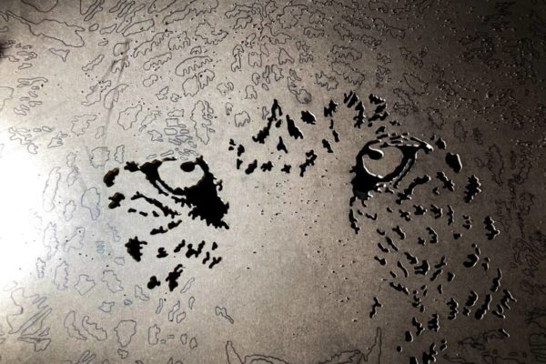 1eres decoupes sur le leopard a l-affut