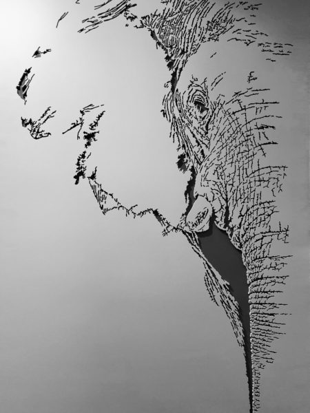L’afrique