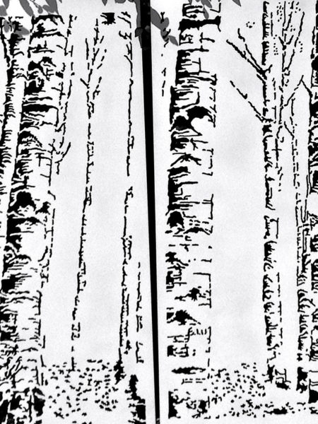 Foret de bouleaux dyptique