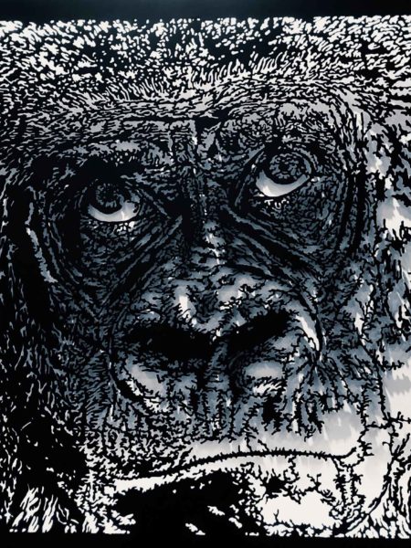 Koko