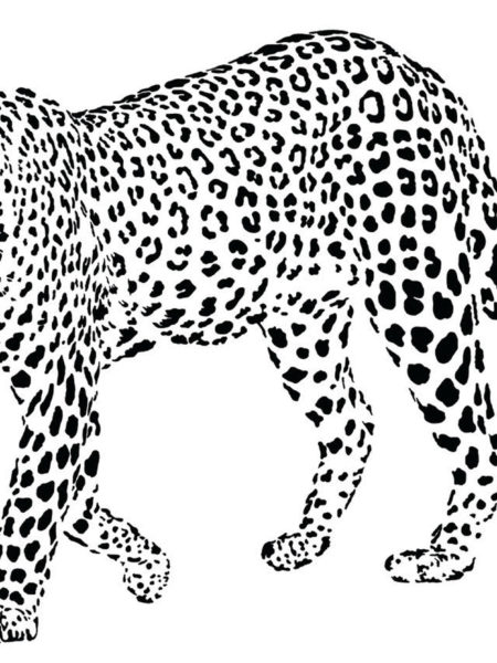 Rencontre dans la savane format horizontal