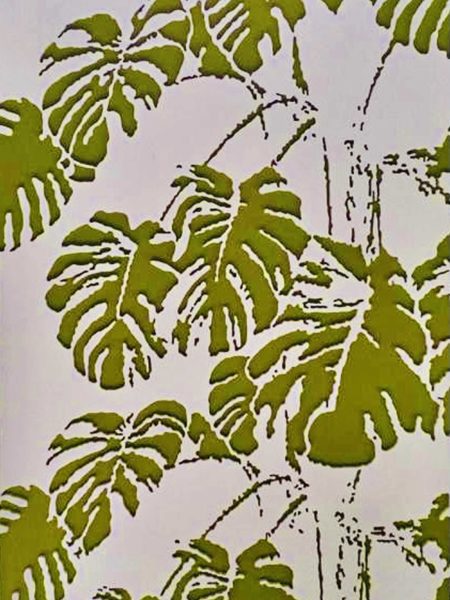 Monstera