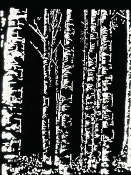 Forêt de bouleaux tryptique