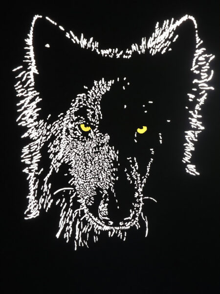 Mâle alpha